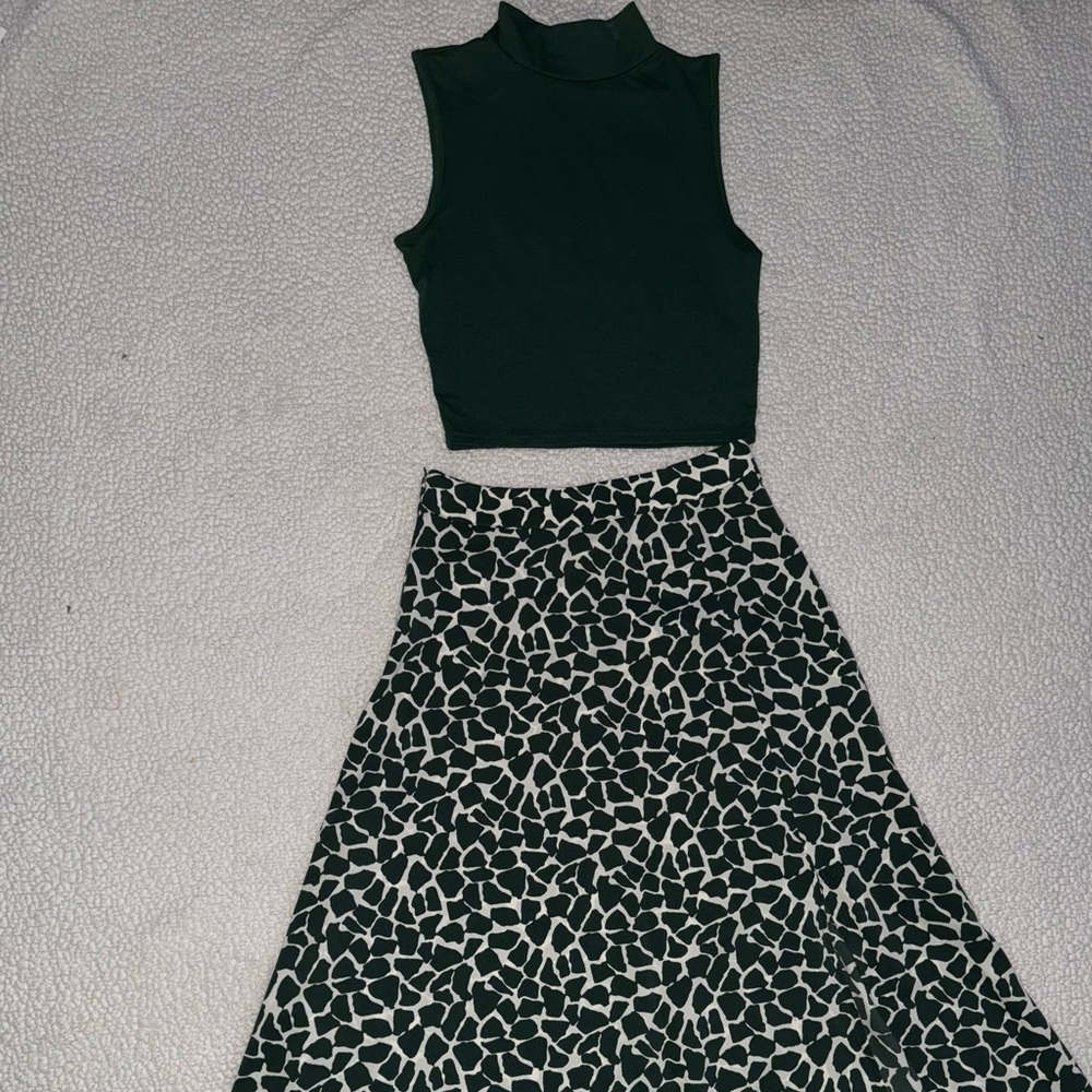 Skirt and top set